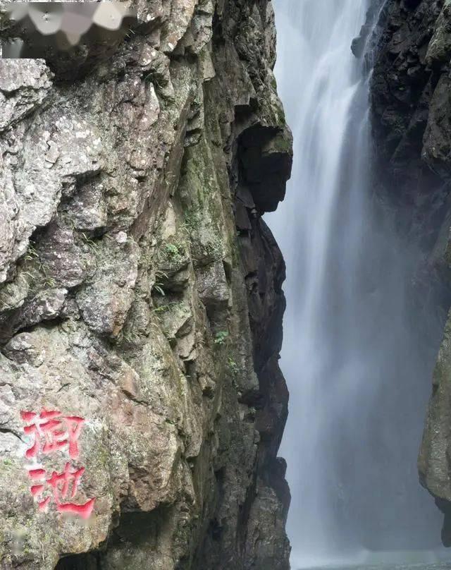 脱逃者：行尸走肉